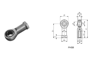 Phsb (1)