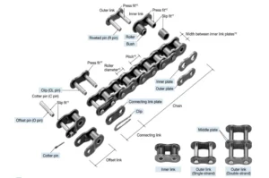 Rs Chain (1)