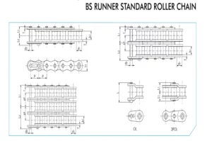 Rs Rf (1)