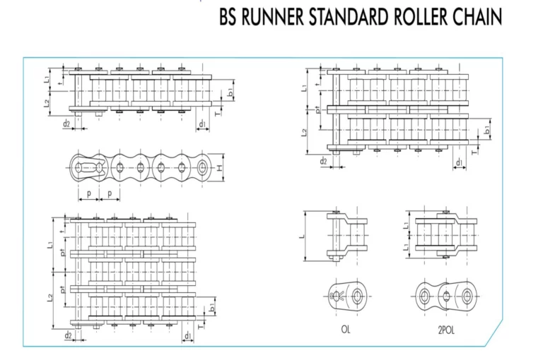 Rs Rf (1)