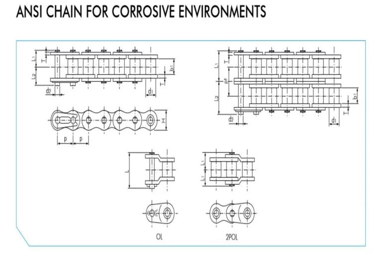 Ss Chain (1)