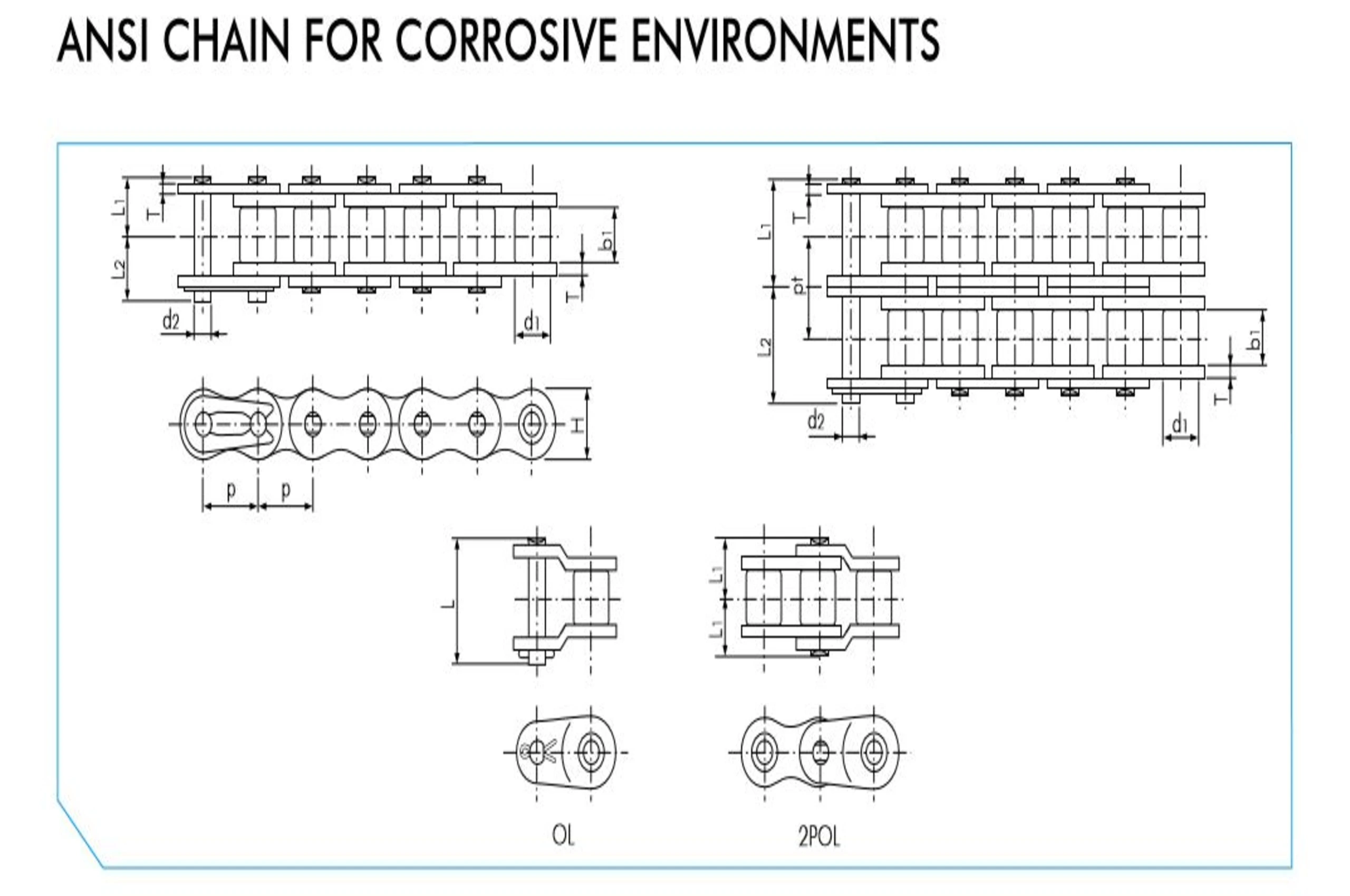 Ss Chain (1)